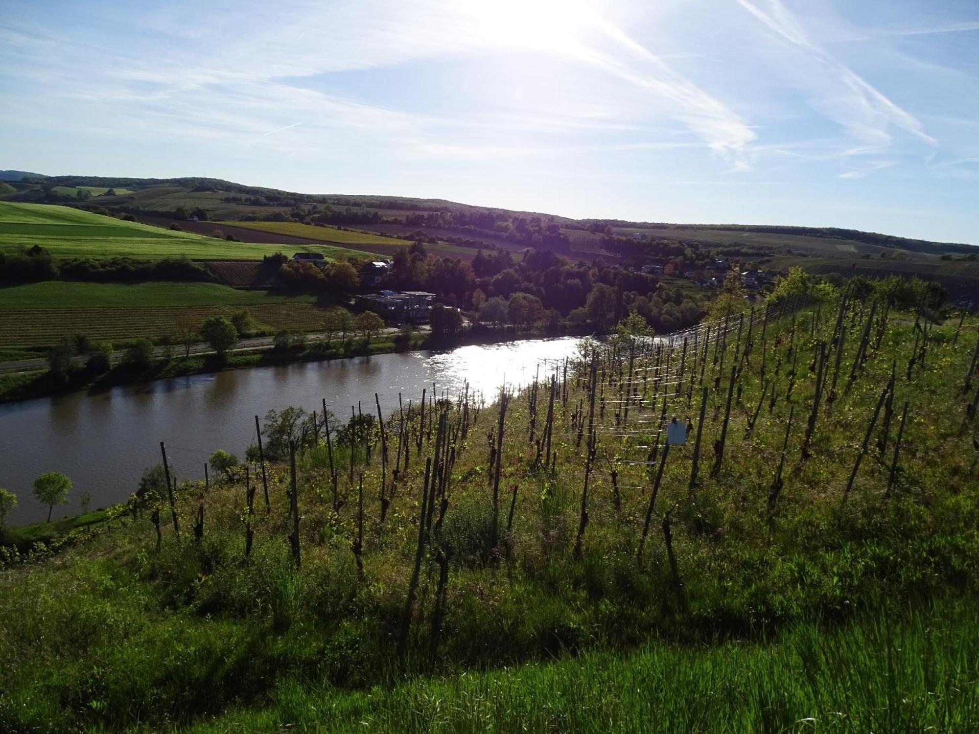 Holiday Apartment Near The Moselle With Terrace Wehr  ภายนอก รูปภาพ